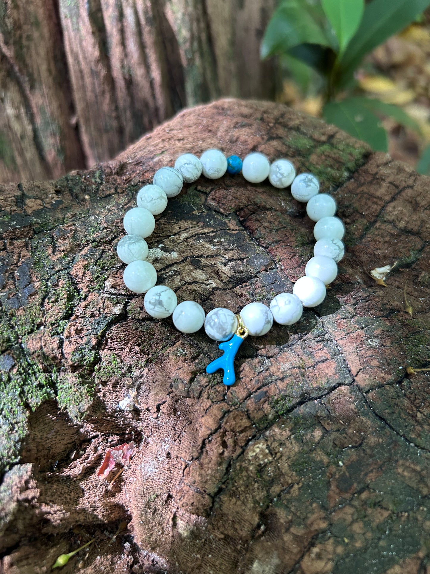 Blue Coral